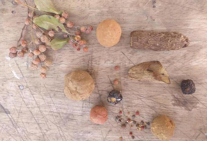 هتل Hostel Nugeku