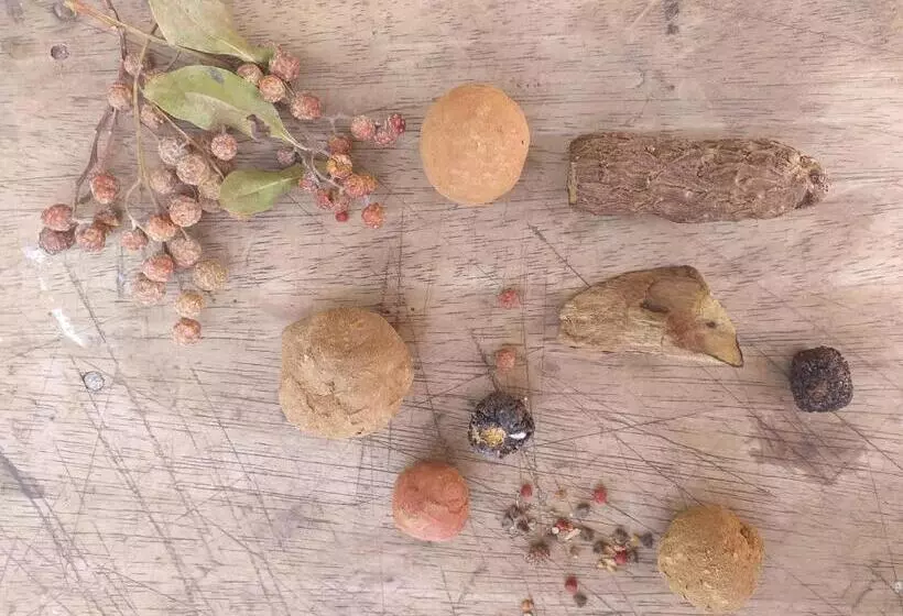 Hotelli Hostel Nugeku