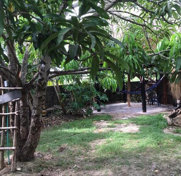 هتل Hostel Nugeku