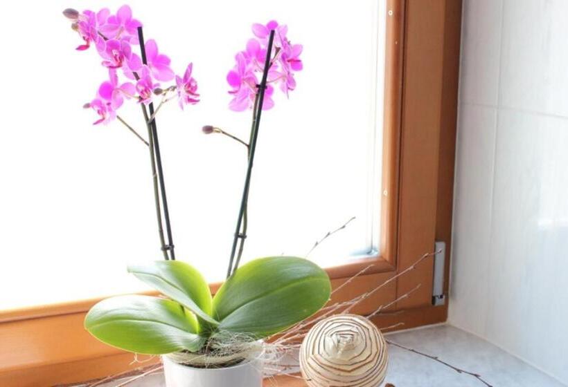 ホテル Oberhuberhof Rodeneck