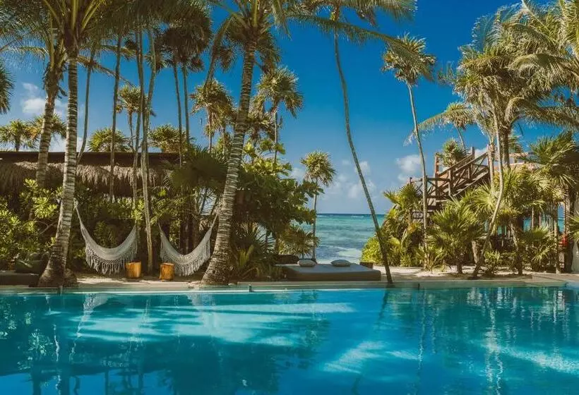 Jashita Hotel   Superior Deluxe Suite Ocean   Mexico