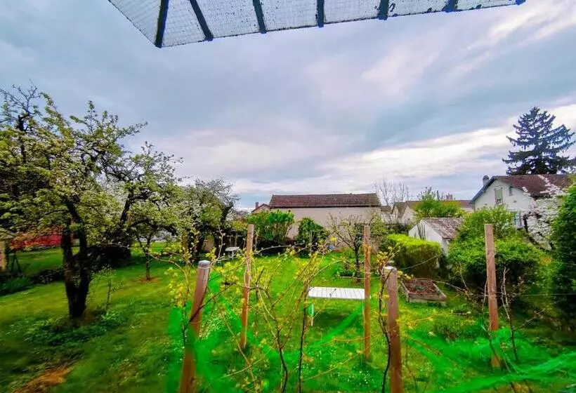 پانسیون Home   Champoulains   Séjour à Auxerre