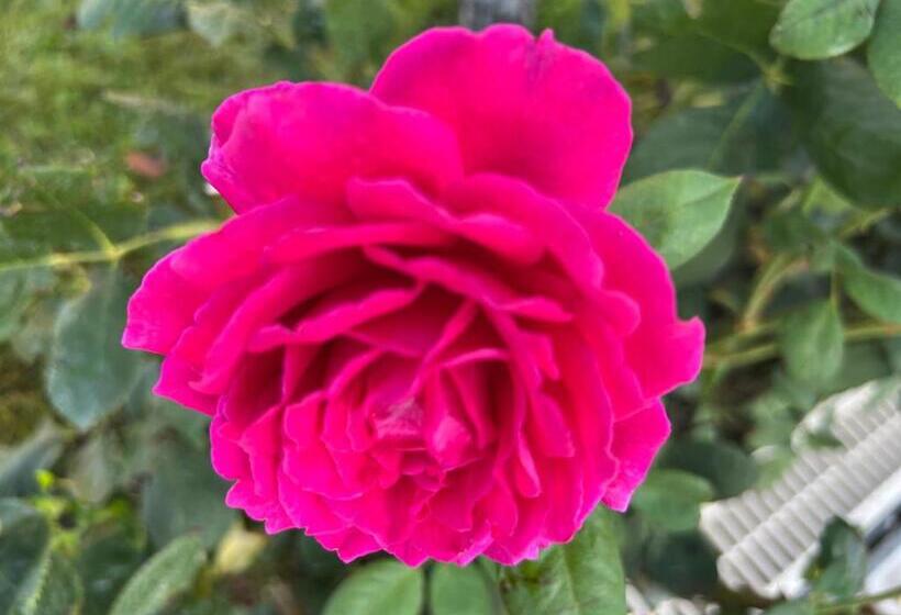 Luxury Sveti Vlas Beach Apart