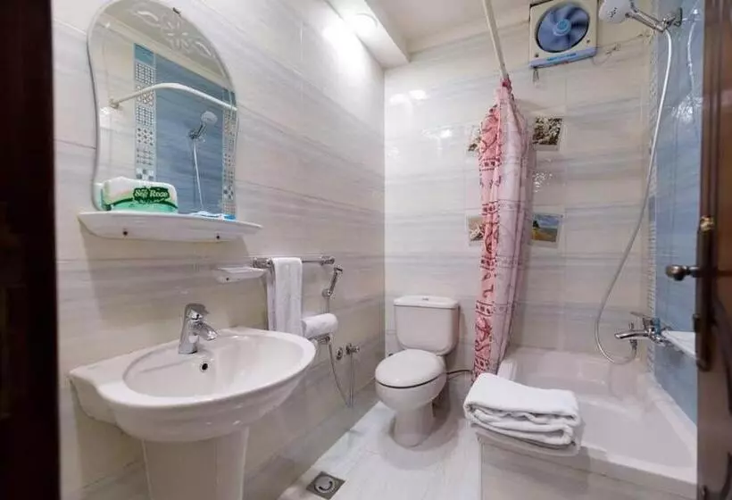 Badr Hotel Assiut