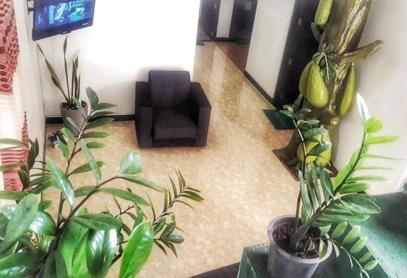 تختخواب و صبحانه Anusha Holiday Inn