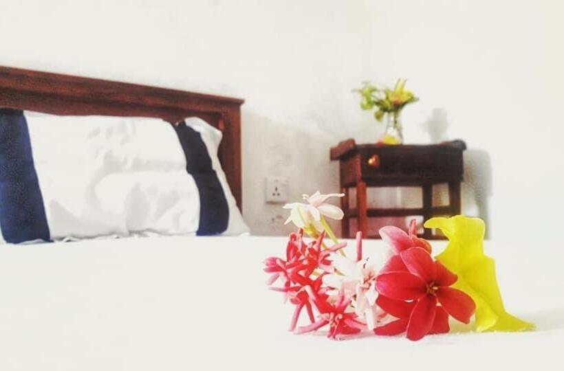 تختخواب و صبحانه Anusha Holiday Inn