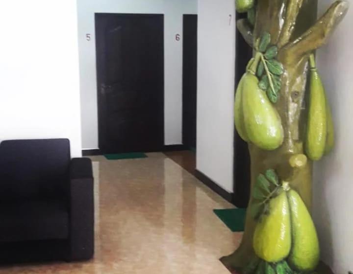 تختخواب و صبحانه Anusha Holiday Inn