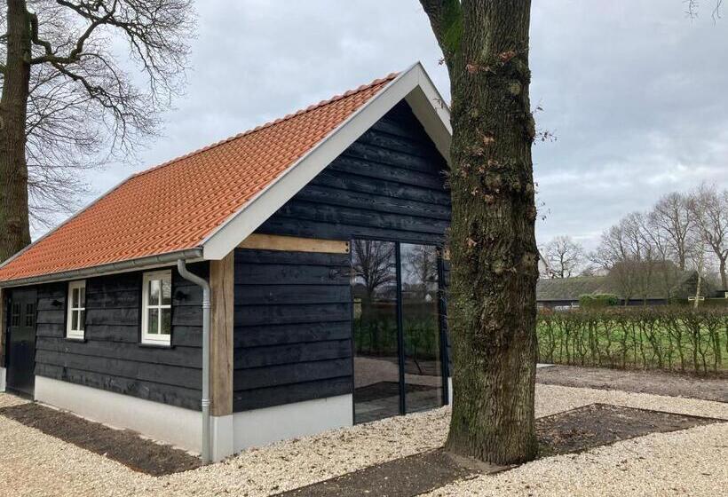 ベッドアンドブレックファースト De Rheebok