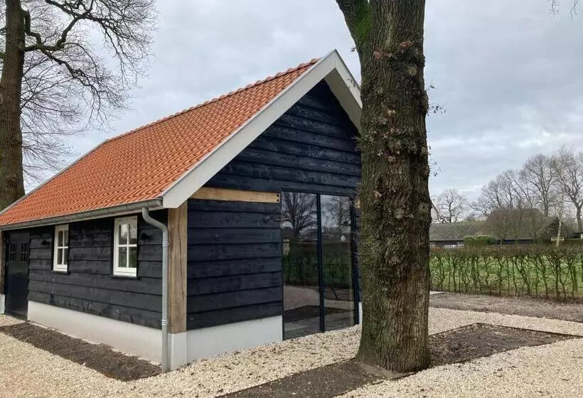 ベッドアンドブレックファースト De Rheebok