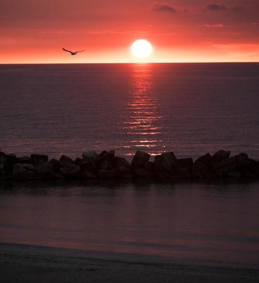 فندق Der Charlottenhof