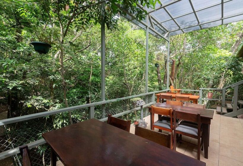 בית מלון כפרי Elida Lodge Monteverde