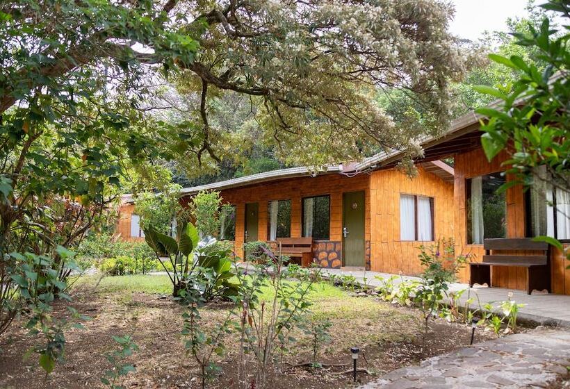 בית מלון כפרי Elida Lodge Monteverde