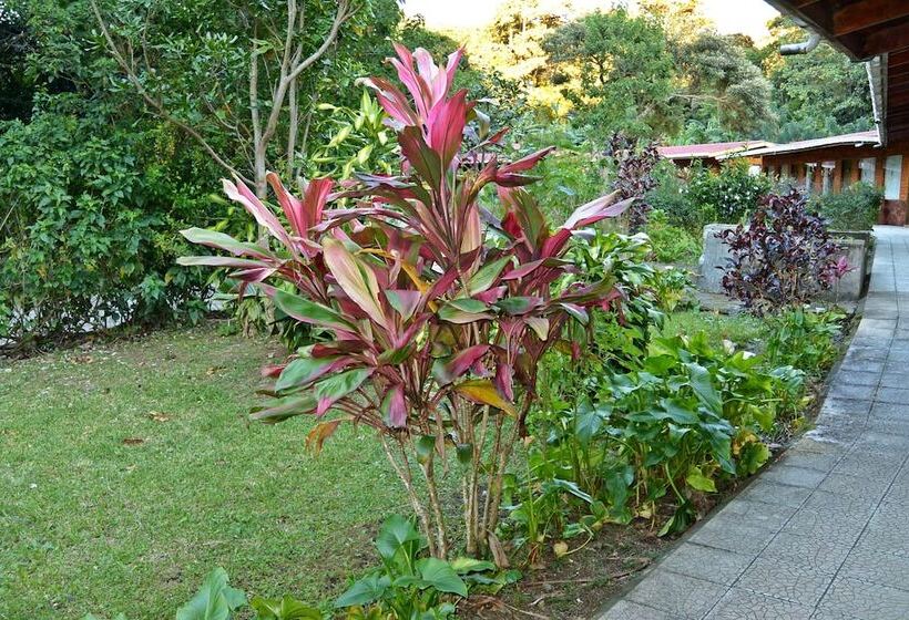 בית מלון כפרי Elida Lodge Monteverde