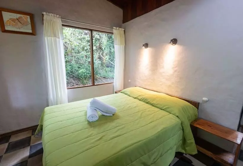 ホテル Elida Lodge Monteverde