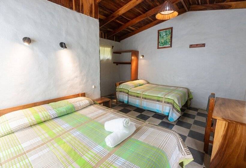 בית מלון כפרי Elida Lodge Monteverde