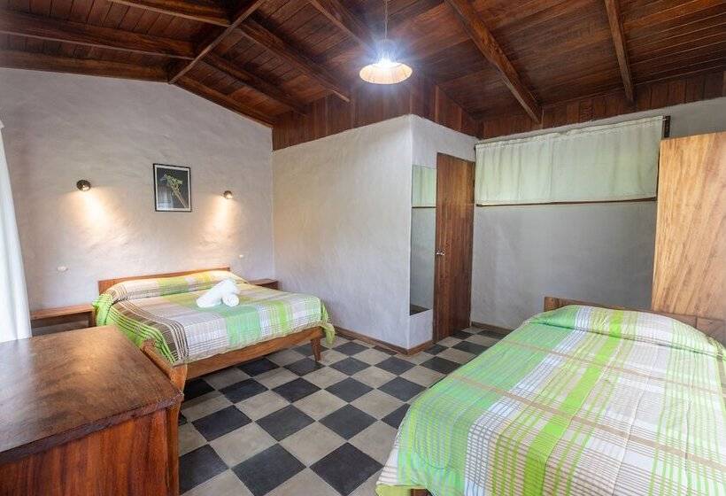 בית מלון כפרי Elida Lodge Monteverde