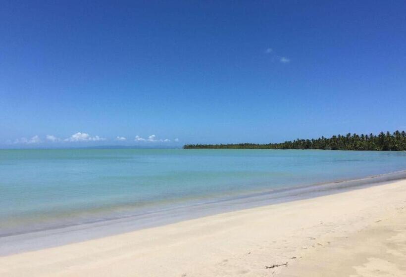 Viva Miches By Wyndham, A Trademark All Inclusive Resort