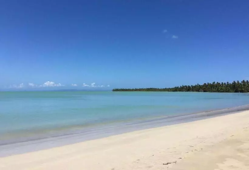 リゾートホテル Viva Miches By Wyndham