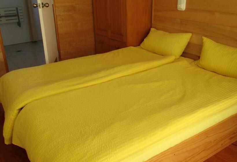 بنسيون The Healthy Guesthouse