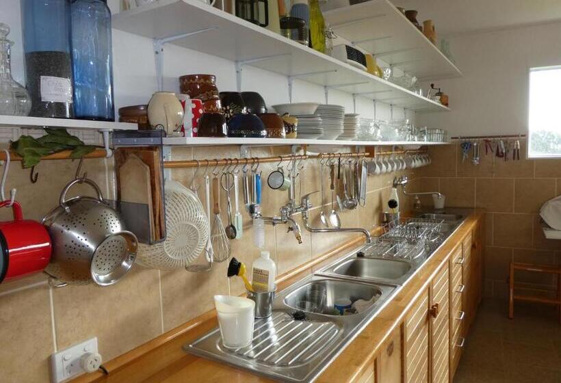 بنسيون The Healthy Guesthouse