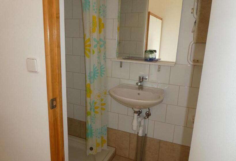 بنسيون The Healthy Guesthouse