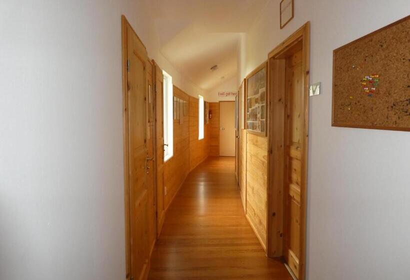 بنسيون The Healthy Guesthouse