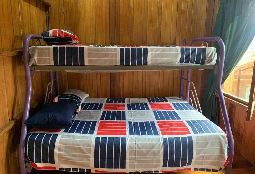 Bed & Breakfast La Casa Del Oso De Anteojos