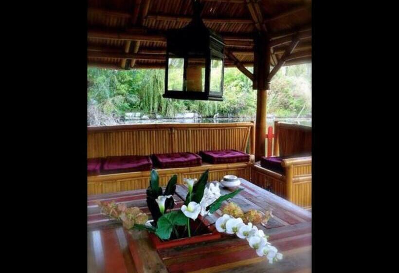 Bed and Breakfast Les Containers