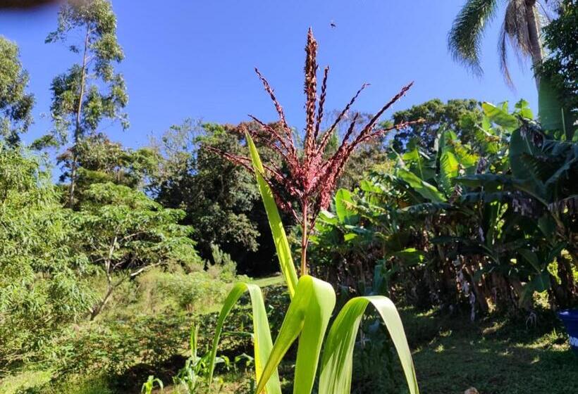 Bed & Breakfast Sítio Na Mata Atlântica
