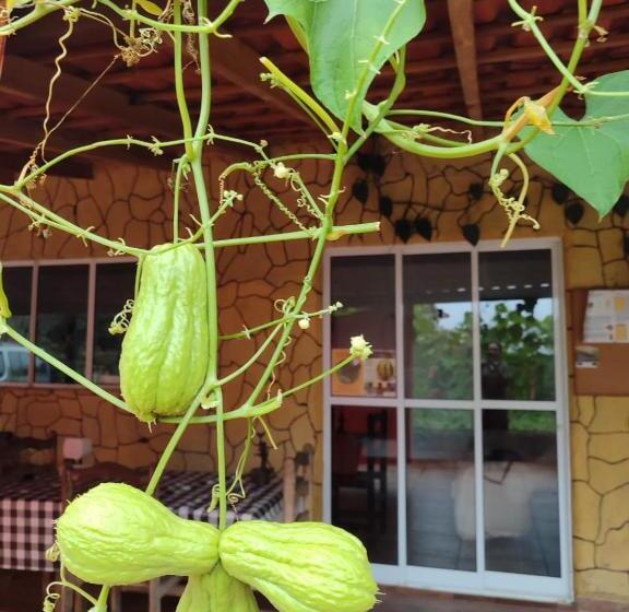 Bed & Breakfast Sítio Na Mata Atlântica