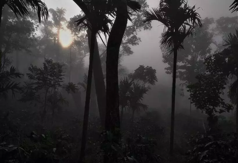 ホテル Coffee Nest Coorg