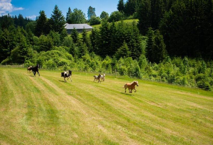 בית מלון כפרי Kroneggerhof