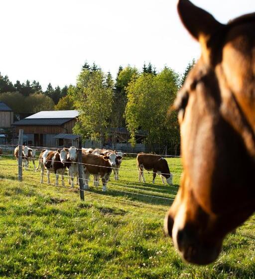 בית מלון כפרי Kroneggerhof