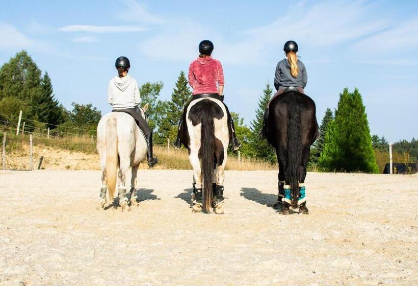 בית מלון כפרי Kroneggerhof