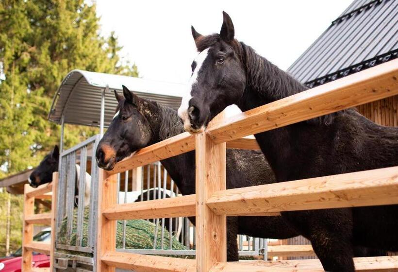 בית מלון כפרי Kroneggerhof