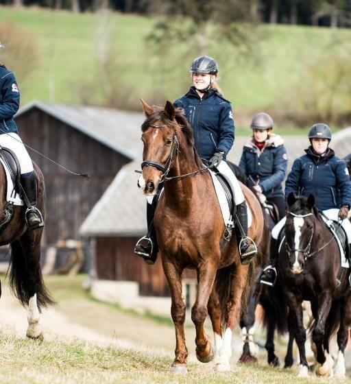 בית מלון כפרי Kroneggerhof