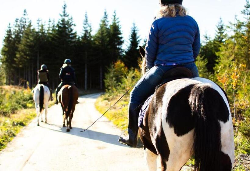 בית מלון כפרי Kroneggerhof