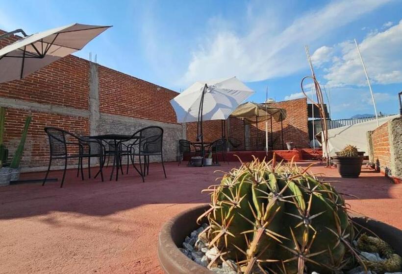 تختخواب و صبحانه Meraky