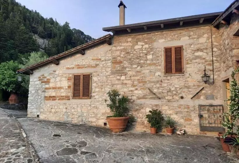 ホテル Agriturismo Fattoio Alle Ripe