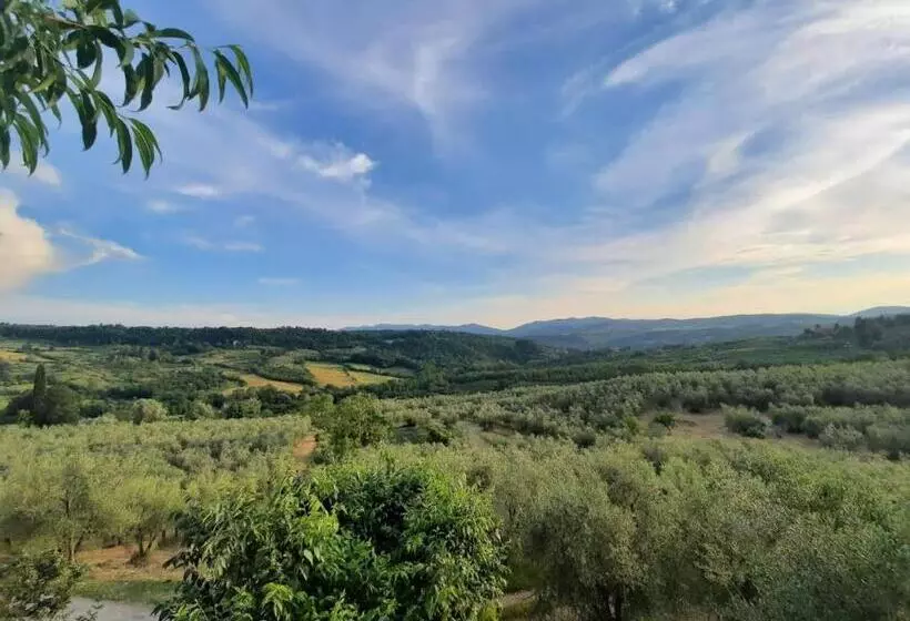 ホテル Agriturismo Fattoio Alle Ripe