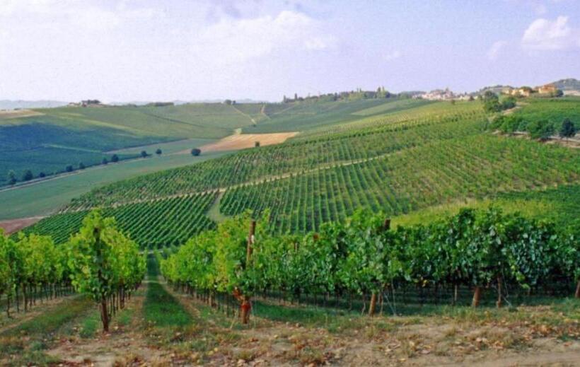 فندق Agriturismo Fattoio Alle Ripe