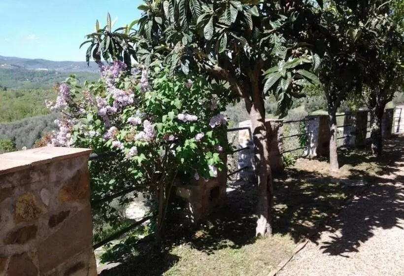 ホテル Agriturismo Fattoio Alle Ripe
