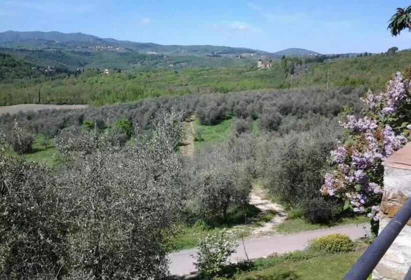 ホテル Agriturismo Fattoio Alle Ripe
