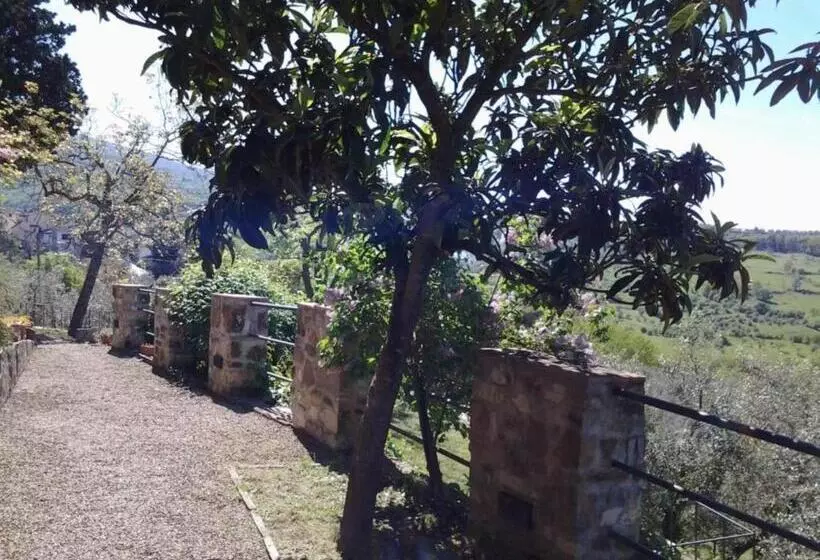 ホテル Agriturismo Fattoio Alle Ripe