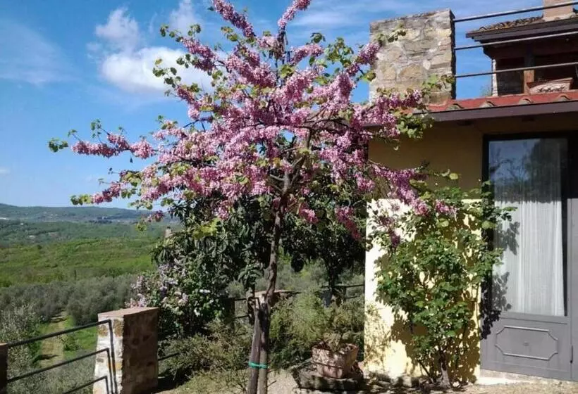 ホテル Agriturismo Fattoio Alle Ripe