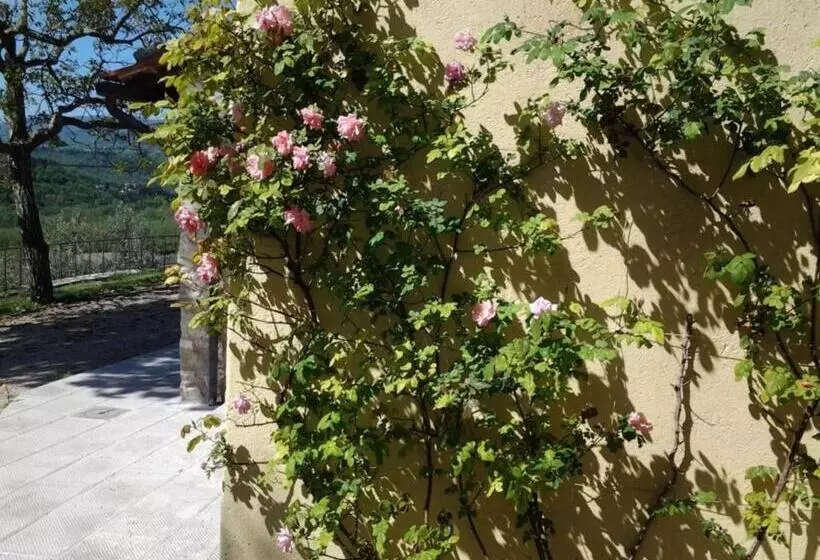 ホテル Agriturismo Fattoio Alle Ripe