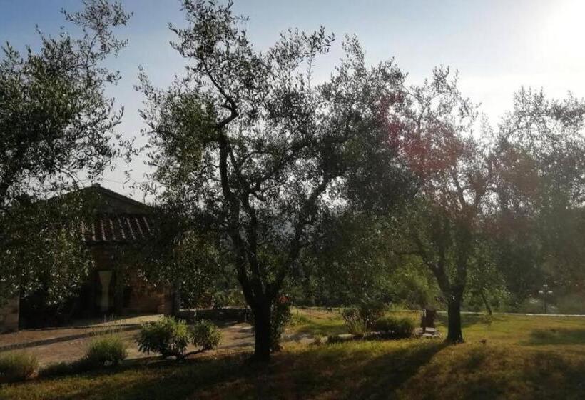 فندق Agriturismo Fattoio Alle Ripe