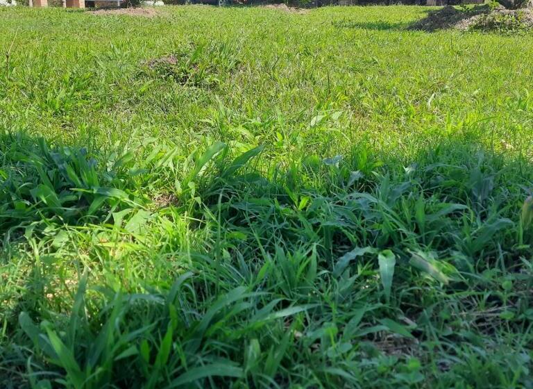 בית מלון כפרי Hacienda Rosa Franca