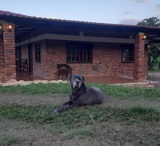 ホテル Hacienda Rosa Franca