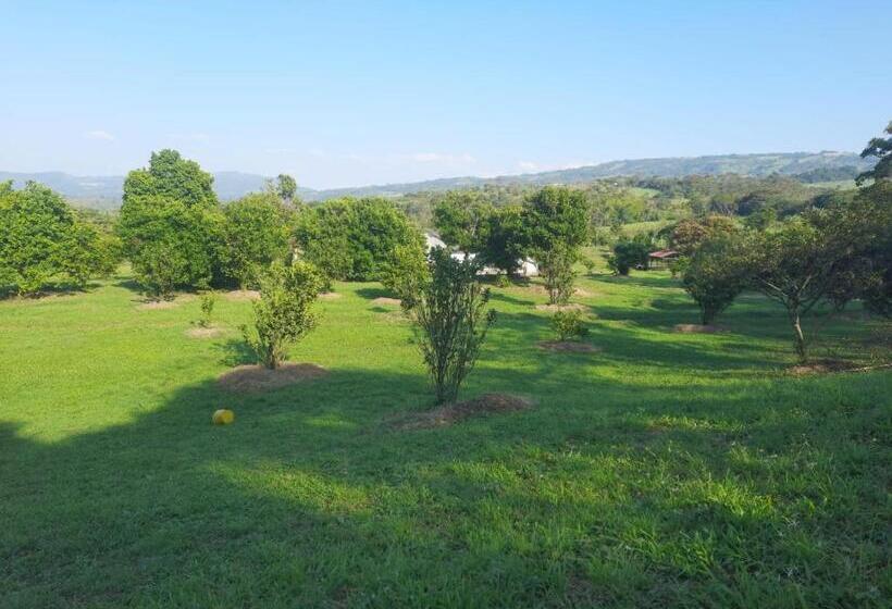 בית מלון כפרי Hacienda Rosa Franca